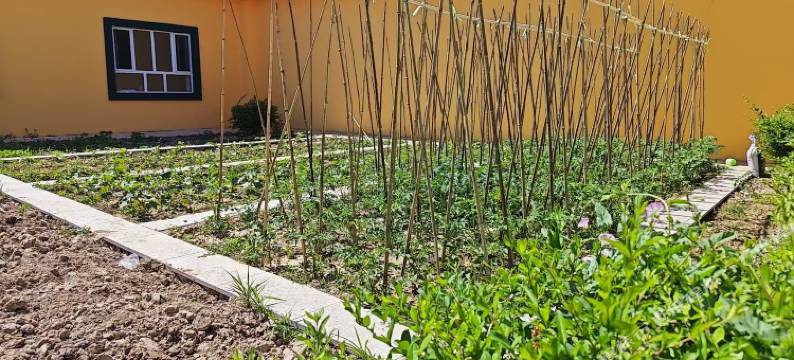 苏耶曼民宿(解忧公主薰衣草农场店)图片