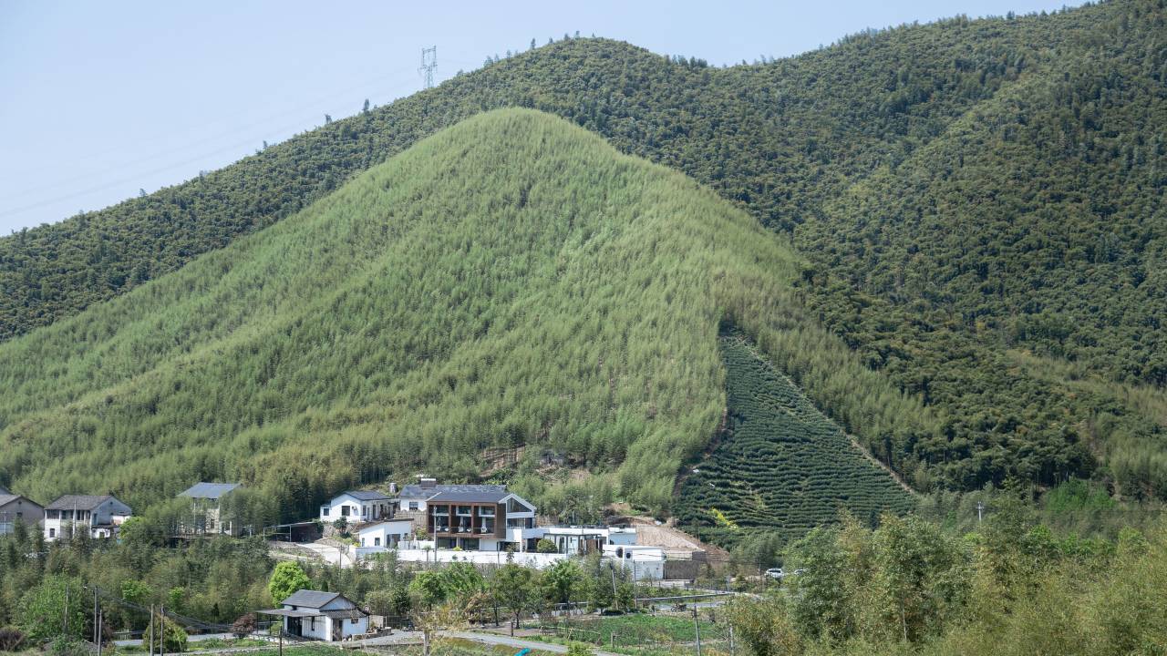莫干山原舍·怀谷私汤溯溪民宿(野邻花园营地店)图片