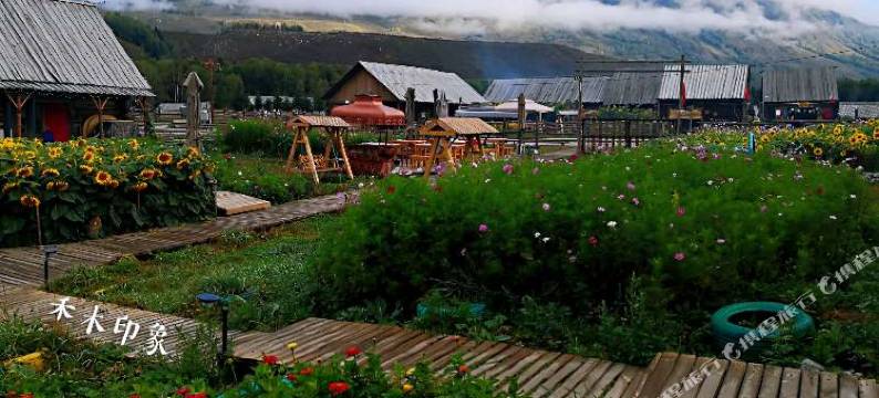 禾木印象客栈图片