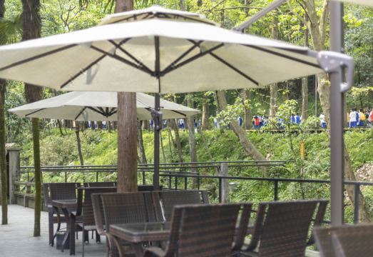 Qingcheng · Tiangu Hotel Dujiangyan Hotel Overview