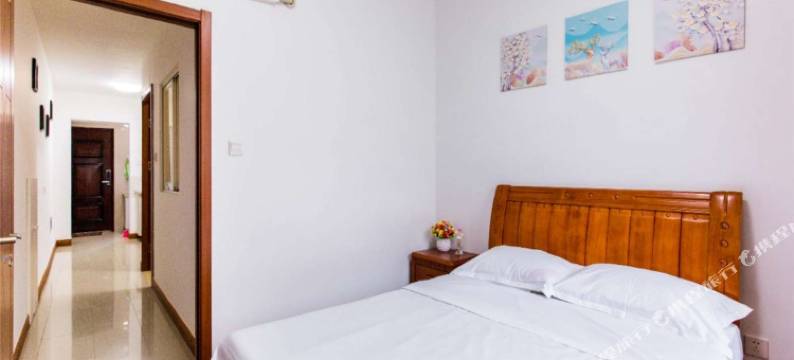 上海素赋陆家嘴明珠八佰伴近地铁两居公寓图片