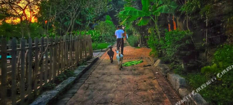 非遗文化村(大鹏所城店)图片