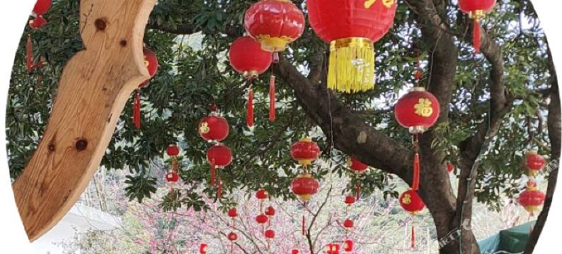 婺源县篁岭稻香居民宿图片