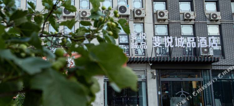 斐悦城品酒店(曲阜三孔景区师范大学店)图片