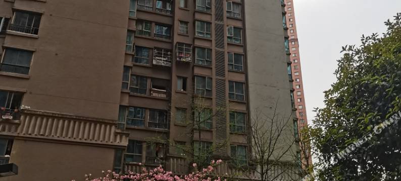 贵阳阳光青年旅舍图片