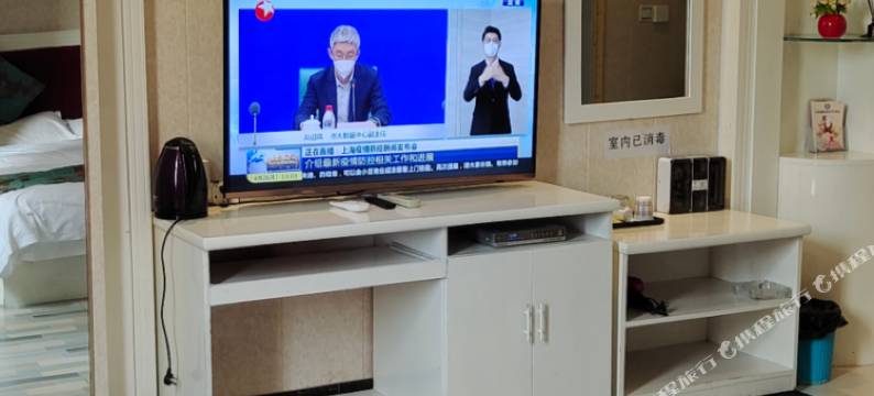 百色雅莱丽酒店图片