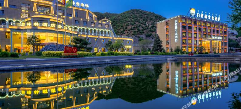 林胡古塞白桦林贵宾楼酒店图片