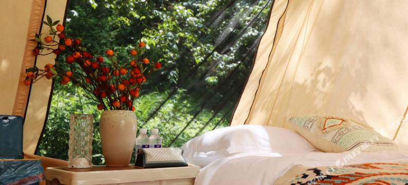 栾川觅野仙踪露营地图片