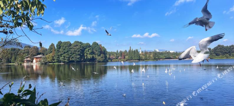 云南滇池温泉花园国际大酒店图片