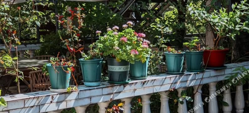 千里之外客栈(丽江老君山国家公园店)图片