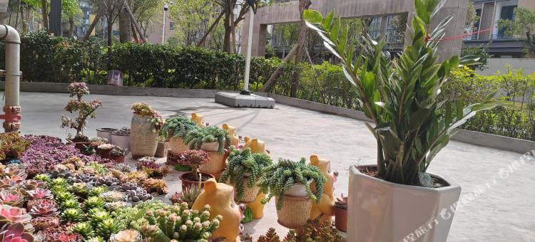 德昌路客精品美宿图片