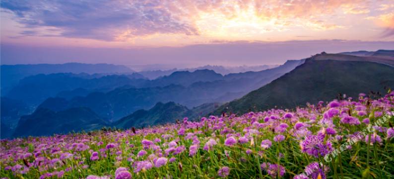 赫章魅韭民宿图片