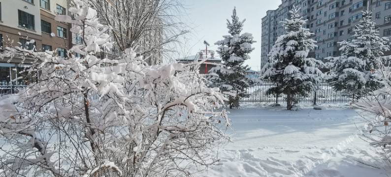 尚志雅轩宾馆(亚布力站店)图片