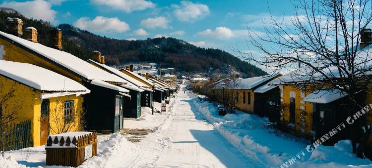 横道明九民宿(中东铁路博物馆店)图片