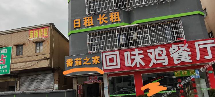 番茄之家图片