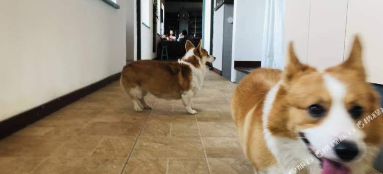 松间明月民宿图片