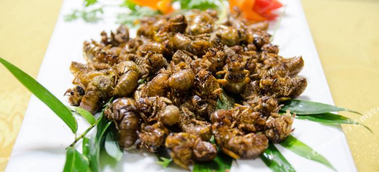 竹泉村精品民宿酒店(竹泉村景区店)图片