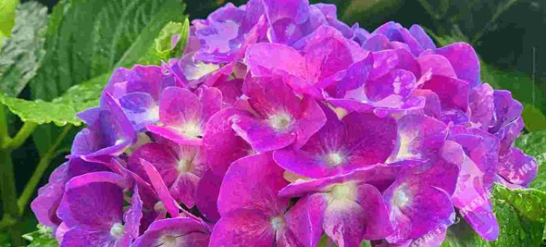 洪雅小石头客栈图片