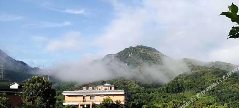 英德大围茶园民宿图片