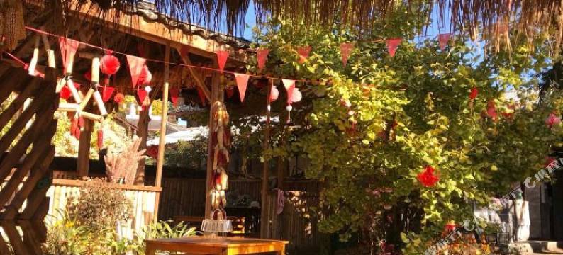 腾冲科菊农家乐图片