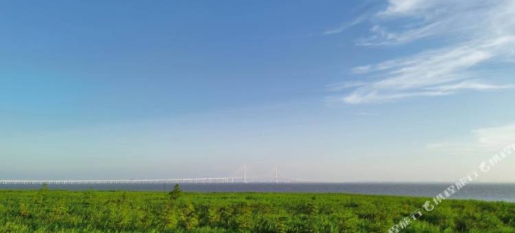 上海田野间民宿图片