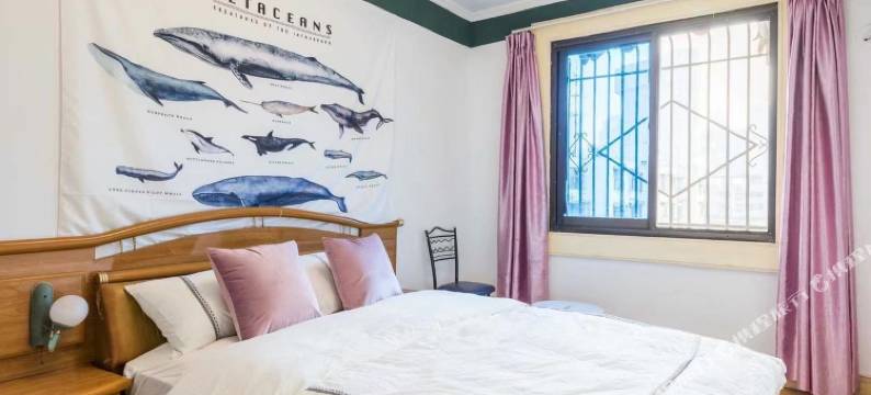 成都爱珍多龙民宿(上半节巷分店)图片