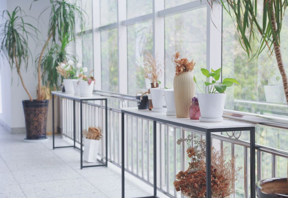 元阳江外饭店外景图