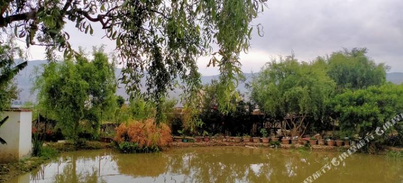 大理洱源野草温泉民宿图片