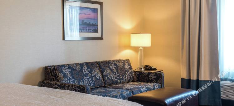 渥太华机场希尔顿欢朋酒店(Hampton Inn by Hilton Ottawa Airport)图片