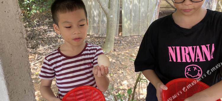 花筑·台山神川锦鲤度假山庄图片