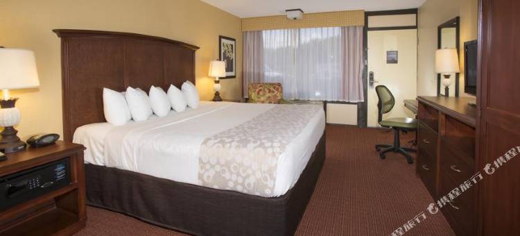 奥兰多布纳维斯塔湖罗森酒店(Rosen Inn Lake Buena Vista)图片