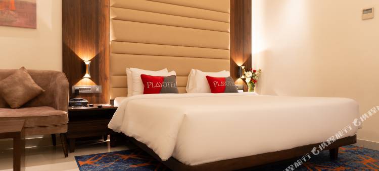 印多尔伟杰纳加尔普莱奥特尔酒店(Playotel Premier Vijay Nagar)图片