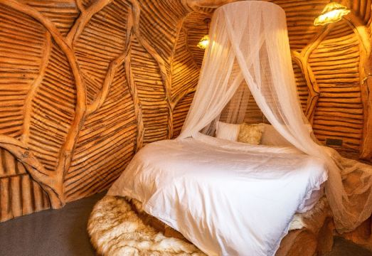 Shenzhen Feidu Homestay Hotel Overview