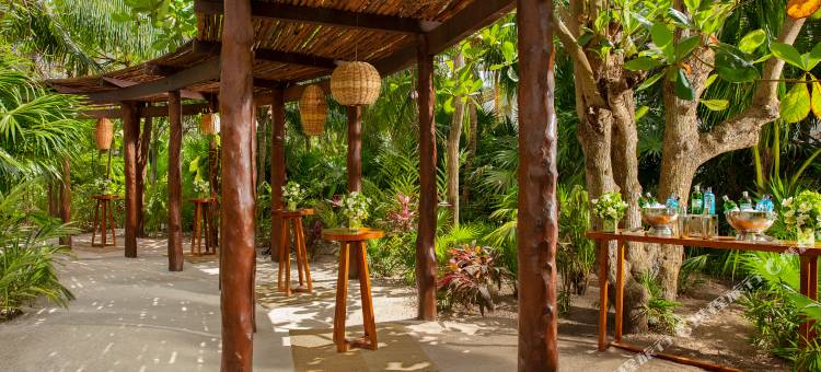 艾库玛尔玛雅河全包秘密酒店(Secrets Akumal Riviera Maya)图片