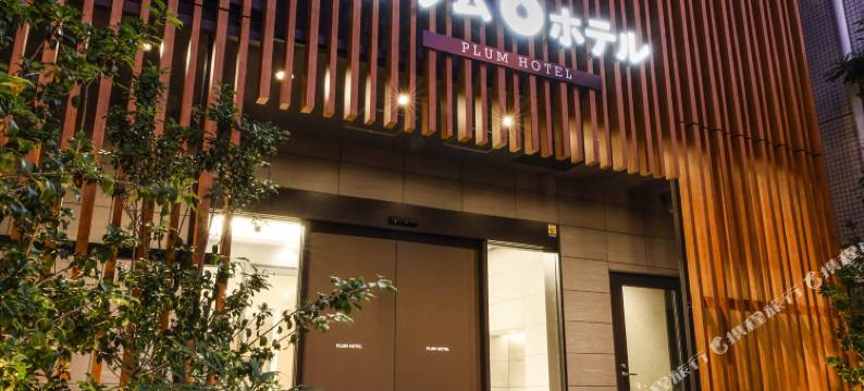普拉姆酒店(Plum Hotel)图片