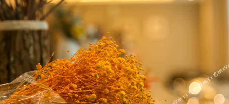 华朗澜山景酒店(泗洪第一人民医院店)图片