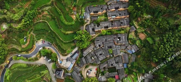 松阳里茶民宿图片