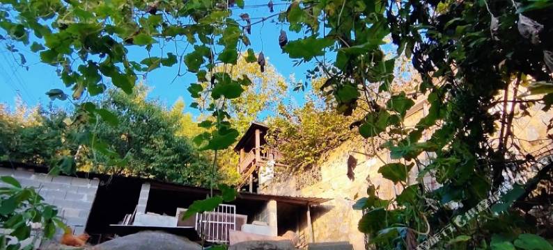 黄山徽嫂渔馆图片