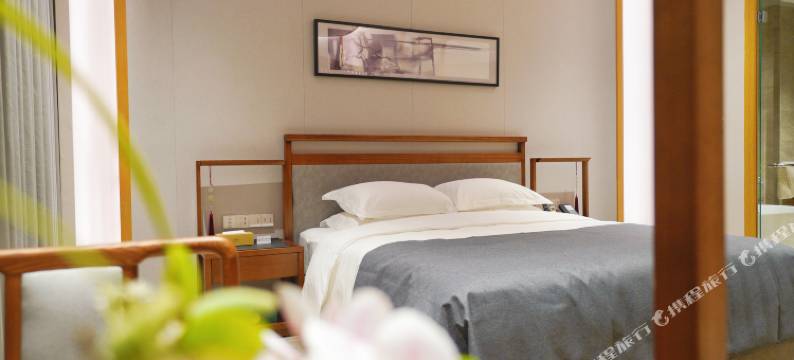 南阳仲景书院酒店(医圣文化园店)图片