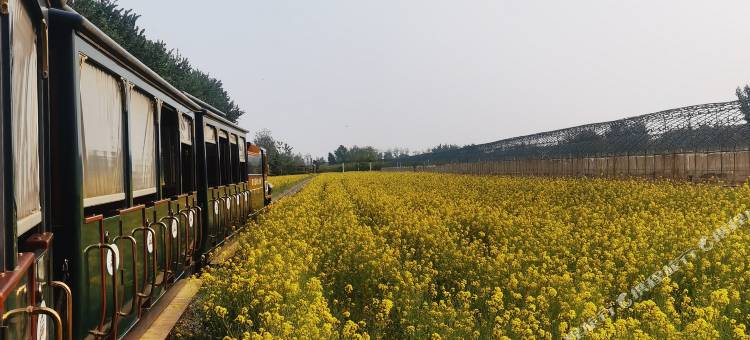 晋州市周家庄人民公社御荷民宿图片
