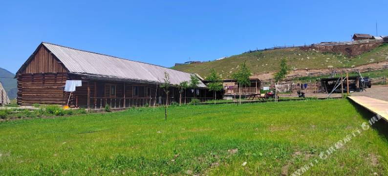 兵哥哥民宿(白哈巴村店)图片