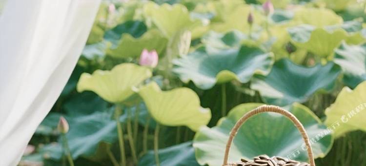 石林风景区｜MOON LOTUS荷莲月色·乡野花园民宿图片