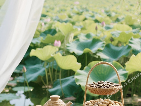 石林风景区｜MOON LOTUS荷莲月色·乡野花园民宿