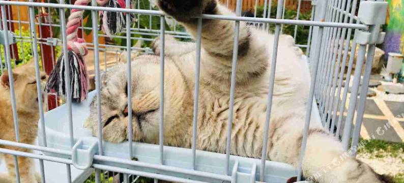 涠洲岛芙罗拉私家花园度假民宿(贝壳沙滩店)图片