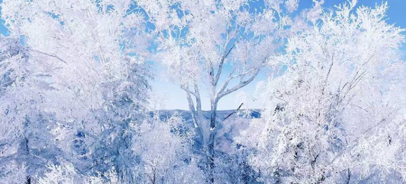 雪谷柳东升驴友驿站图片