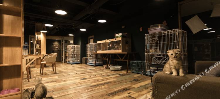 轻住·曼辰酒店(西安永宁门地铁站店)图片