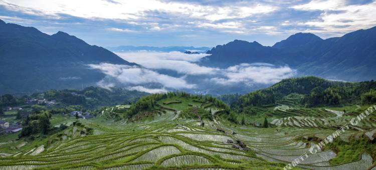 花漫里·禅修疗愈民宿(云和梯田景区店)图片