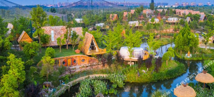 南通森迪部落树屋图片