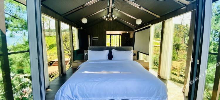 栖凤·半山星宿图片