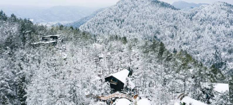 酉阳桃花源森林酒店图片